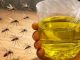 Muče vas muhe, komarci i insekti? Evo trika koji ih uklanja bez da potrošite ijednu marku! Muče vas muhe, komarci i insekti? Evo trika koji ih uklanja bez da potrošite ijednu marku! - featured image