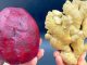 PRIRODNA BOMBA 🍊🍯… Za čišćenje jetre i krvnih sudova: 4 moćna sastojka! PRIRODNA BOMBA 🍊🍯… Za čišćenje jetre i krvnih sudova: 4 moćna sastojka! - featured image