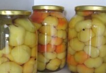 BARENE PARADAJZ-PAPRIKE ZA ZIMNICU…Jednostavan recept koji se može primeniti i na kornišone, kao i na zeleni paradajz. BARENE PARADAJZ-PAPRIKE ZA ZIMNICU…Jednostavan recept koji se može primeniti i na kornišone, kao i na zeleni paradajz. - featured image