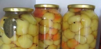 BARENE PARADAJZ-PAPRIKE ZA ZIMNICU…Jednostavan recept koji se može primeniti i na kornišone, kao i na zeleni paradajz. BARENE PARADAJZ-PAPRIKE ZA ZIMNICU…Jednostavan recept koji se može primeniti i na kornišone, kao i na zeleni paradajz. - featured image