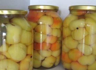 BARENE PARADAJZ-PAPRIKE ZA ZIMNICU…Jednostavan recept koji se može primeniti i na kornišone, kao i na zeleni paradajz. BARENE PARADAJZ-PAPRIKE ZA ZIMNICU…Jednostavan recept koji se može primeniti i na kornišone, kao i na zeleni paradajz. - featured image