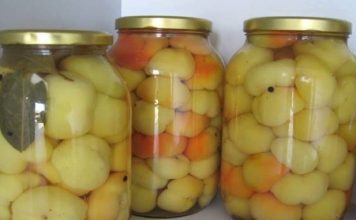 BARENE PARADAJZ-PAPRIKE ZA ZIMNICU…Jednostavan recept koji se može primeniti i na kornišone, kao i na zeleni paradajz. BARENE PARADAJZ-PAPRIKE ZA ZIMNICU…Jednostavan recept koji se može primeniti i na kornišone, kao i na zeleni paradajz. - featured image