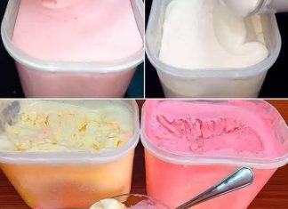 1 RECEPT 4 SASTOJKA: Puno domaćeg SLADOLEDA bez muke! 1 RECEPT 4 SASTOJKA: Puno domaćeg SLADOLEDA bez muke! - featured image