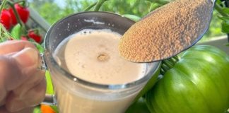 Evo kako da vaš paradajz, paprike i krastavci rastu brže nego ikada – uz pomoć kvasca Evo kako da vaš paradajz, paprike i krastavci rastu brže nego ikada – uz pomoć kvasca - featured image