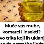 Muče vas muhe, komarci i insekti? Evo trika koji ih uklanja bez da potrošite ijednu marku! Muče vas muhe, komarci i insekti? Evo trika koji ih uklanja bez da potrošite ijednu marku! - featured image