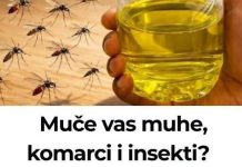 Muče vas muhe, komarci i insekti? Evo trika koji ih uklanja bez da potrošite ijednu marku! Muče vas muhe, komarci i insekti? Evo trika koji ih uklanja bez da potrošite ijednu marku! - featured image