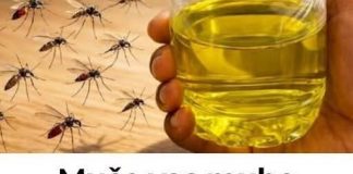 Muče vas muhe, komarci i insekti? Evo trika koji ih uklanja bez da potrošite ijednu marku! Muče vas muhe, komarci i insekti? Evo trika koji ih uklanja bez da potrošite ijednu marku! - featured image