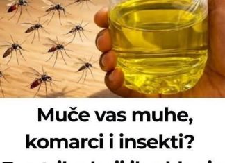 Muče vas muhe, komarci i insekti? Evo trika koji ih uklanja bez da potrošite ijednu marku! Muče vas muhe, komarci i insekti? Evo trika koji ih uklanja bez da potrošite ijednu marku! - featured image