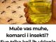 Muče vas muhe, komarci i insekti? Evo trika koji ih uklanja bez da potrošite ijednu marku! Muče vas muhe, komarci i insekti? Evo trika koji ih uklanja bez da potrošite ijednu marku! - featured image