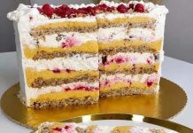 Plazmolina torta – savršena kombinacija vanilije, malina i plazma keksa Plazmolina torta – savršena kombinacija vanilije, malina i plazma keksa - featured image