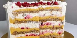 Plazmolina torta – savršena kombinacija vanilije, malina i plazma keksa Plazmolina torta – savršena kombinacija vanilije, malina i plazma keksa - featured image