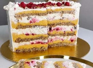Plazmolina torta – savršena kombinacija vanilije, malina i plazma keksa Plazmolina torta – savršena kombinacija vanilije, malina i plazma keksa - featured image