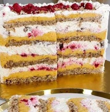 Plazmolina torta – savršena kombinacija vanilije, malina i plazma keksa Plazmolina torta – savršena kombinacija vanilije, malina i plazma keksa - featured image