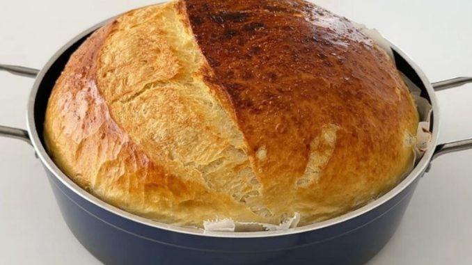 🥣 DOMAĆI HLJEB IZ ŠERPE – NEVJEROVATNO HRCKAVA KORICA I MEKANA, MIRISNA UNUTRAŠNJOST!miriše kao iz pekare - featured image 🥣 DOMAĆI HLJEB IZ ŠERPE – NEVJEROVATNO HRCKAVA KORICA I MEKANA, MIRISNA UNUTRAŠNJOST!miriše kao iz pekare - featured image