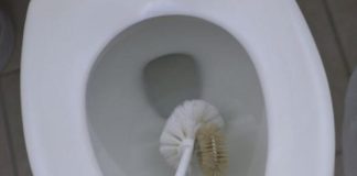 STAVITE KVASAC U WC ŠOLJU I SAČEKAJTE SAMO SAT VREMENA: Vjerovali ili ne, rezultat će vas oduševiti! STAVITE KVASAC U WC ŠOLJU I SAČEKAJTE SAMO SAT VREMENA: Vjerovali ili ne, rezultat će vas oduševiti! - featured image