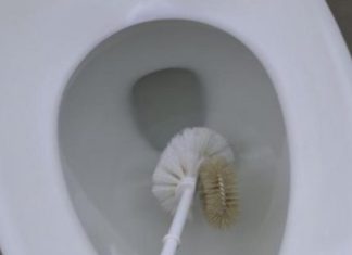 STAVITE KVASAC U WC ŠOLJU I SAČEKAJTE SAMO SAT VREMENA: Vjerovali ili ne, rezultat će vas oduševiti! STAVITE KVASAC U WC ŠOLJU I SAČEKAJTE SAMO SAT VREMENA: Vjerovali ili ne, rezultat će vas oduševiti! - featured image