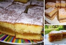 Kolač s jabukama. Ovaj kolac je mekan i prefin, bas prava uzivancija… Kolač s jabukama. Ovaj kolac je mekan i prefin, bas prava uzivancija… - featured image