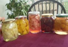 RECEPT ZA KOMPOT OD RAZNOG VOĆA BEZ KONZERVANSA RECEPT ZA KOMPOT OD RAZNOG VOĆA BEZ KONZERVANSA - featured image