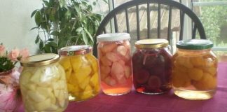 RECEPT ZA KOMPOT OD RAZNOG VOĆA BEZ KONZERVANSA RECEPT ZA KOMPOT OD RAZNOG VOĆA BEZ KONZERVANSA - featured image