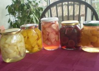 RECEPT ZA KOMPOT OD RAZNOG VOĆA BEZ KONZERVANSA RECEPT ZA KOMPOT OD RAZNOG VOĆA BEZ KONZERVANSA - featured image