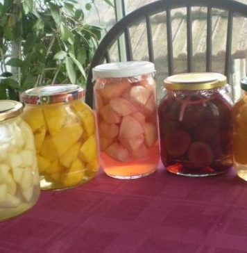RECEPT ZA KOMPOT OD RAZNOG VOĆA BEZ KONZERVANSA RECEPT ZA KOMPOT OD RAZNOG VOĆA BEZ KONZERVANSA - featured image