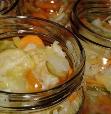 PRELJEV ZA SVE VRSTE ZIMNICE+RECEPT ZA MOJU MIJEŠANU SALATU PRELJEV ZA SVE VRSTE ZIMNICE+RECEPT ZA MOJU MIJEŠANU SALATU - featured image