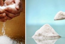 POSIPATE LI SO PO KUĆI: Trebate početi, evo čemu služi i koliko je korisno POSIPATE LI SO PO KUĆI: Trebate početi, evo čemu služi i koliko je korisno - featured image