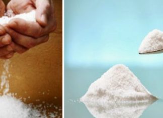 POSIPATE LI SO PO KUĆI: Trebate početi, evo čemu služi i koliko je korisno POSIPATE LI SO PO KUĆI: Trebate početi, evo čemu služi i koliko je korisno - featured image