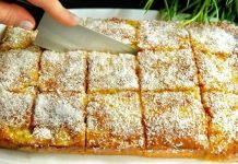 VRHUNSKA PITA OD JABUKA! Svi traže ovaj recept! Jednostavno i ukusno VRHUNSKA PITA OD JABUKA! Svi traže ovaj recept! Jednostavno i ukusno - featured image
