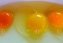 Pogodite koje jaje od ova tri sa slike dolazi od zdrave kokoške Pogodite koje jaje od ova tri sa slike dolazi od zdrave kokoške - featured image