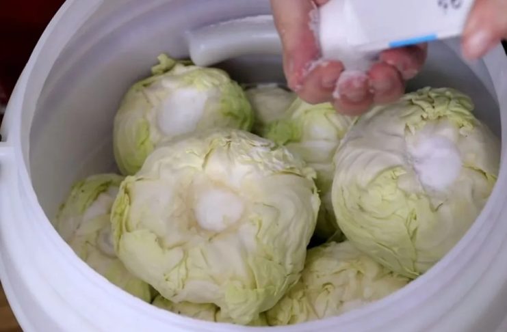 Koliko soli ide na 10 litara vode za kiseli kupus? Samo ovo je prava količina Koliko soli ide na 10 litara vode za kiseli kupus? Samo ovo je prava količina - featured image