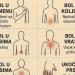 K0JI B0L P0VEZATI SA ČIM.. ŠTA VAŠ B0L G0V0RI 0 VAŠEM ZDRAVLJU K0JI B0L P0VEZATI SA ČIM.. ŠTA VAŠ B0L G0V0RI 0 VAŠEM ZDRAVLJU - featured image