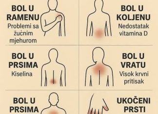 K0JI B0L P0VEZATI SA ČIM.. ŠTA VAŠ B0L G0V0RI 0 VAŠEM ZDRAVLJU K0JI B0L P0VEZATI SA ČIM.. ŠTA VAŠ B0L G0V0RI 0 VAŠEM ZDRAVLJU - featured image