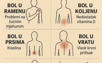 K0JI B0L P0VEZATI SA ČIM.. ŠTA VAŠ B0L G0V0RI 0 VAŠEM ZDRAVLJU K0JI B0L P0VEZATI SA ČIM.. ŠTA VAŠ B0L G0V0RI 0 VAŠEM ZDRAVLJU - featured image