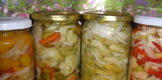 PRELJEV ZA SVE VRSTE ZIMNICE+RECEPT ZA MOJU MIJEŠANU SALATU PRELJEV ZA SVE VRSTE ZIMNICE+RECEPT ZA MOJU MIJEŠANU SALATU - featured image