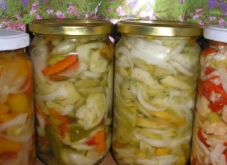 PRELJEV ZA SVE VRSTE ZIMNICE+RECEPT ZA MOJU MIJEŠANU SALATU PRELJEV ZA SVE VRSTE ZIMNICE+RECEPT ZA MOJU MIJEŠANU SALATU - featured image