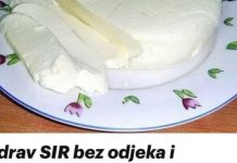 Zdrav SIR bez odjeka i hemikalija: Imam 1 kg odličnog sira od 2 litre mlijeka – voli ga cijela porodica! Zdrav SIR bez odjeka i hemikalija: Imam 1 kg odličnog sira od 2 litre mlijeka – voli ga cijela porodica! - featured image