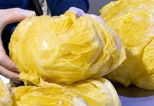 Kako da vam kiseli kupus bude žut kao dukat: Tajna je u 1 nevjerovatnom sastojku Kako da vam kiseli kupus bude žut kao dukat: Tajna je u 1 nevjerovatnom sastojku - featured image