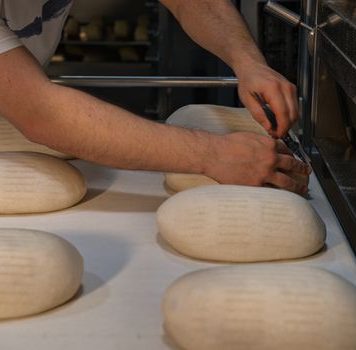 TIJESTO SA JOGURTOM: Za sve vrste peciva, mekano kao duša TIJESTO SA JOGURTOM: Za sve vrste peciva, mekano kao duša - featured image